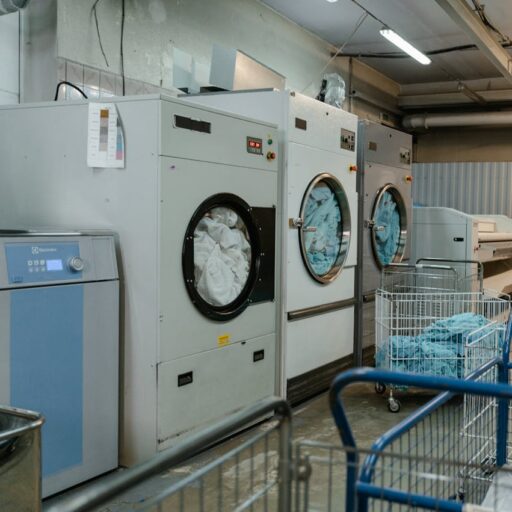 cropped pexels photo 8774643.jpeg